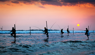Why Sri Lanka Should be on Your Bucket List
