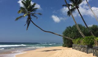 First Look, KK Beach